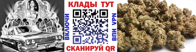 Где купить наркоту Лесосибирск Гашиш  Амфетамин  Alpha PVP  Псилоцибиновые грибы  Кокаин  Бошки Шишки  МЕФ 