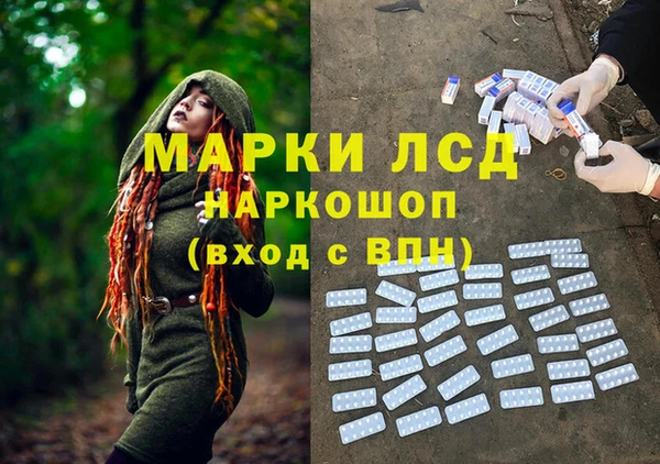 сатива Заволжск