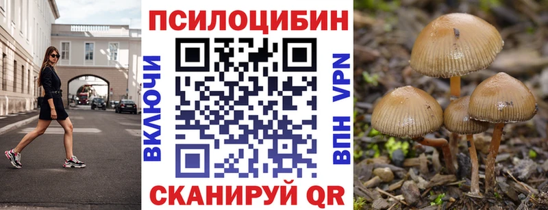 дарнет шоп  Лесосибирск  Псилоцибиновые грибы Magic Shrooms 